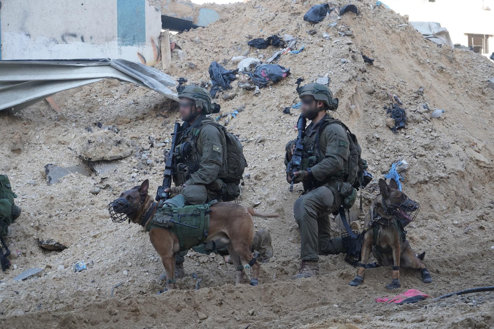 Israeli troops and canines IDF photo