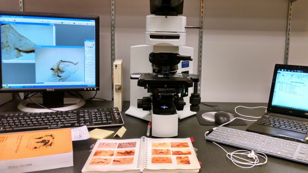 Microscope workstation York University Dmitri Petrov