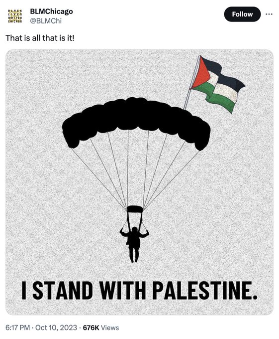 BLM Chicago Palestine