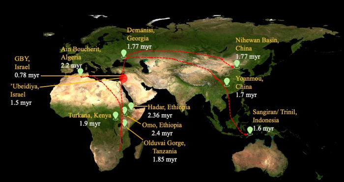 Homo erectus map