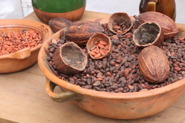 Cacao beans Wikimedia