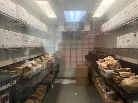 University of Washington deep freezer abortion babies