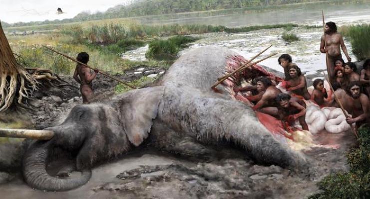 Neanderthal slaughter elephants