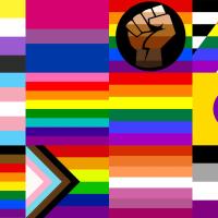 All inclusive sexuality flag