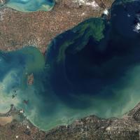 Algae bloom in Lake Erie as seen from space NASA Wikimedia Commons