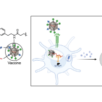 Anticancer cells MIT