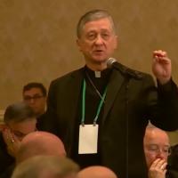 Blase Cupich usccb photo