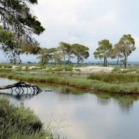 Karavasta National Park Albania Flickr Gail Hampshire