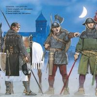 Danish warriors 