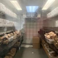 University of Washington deep freezer abortion babies