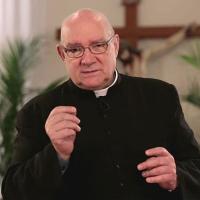Carlos Miguel Buela IVE 