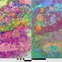 LED image from Aarhus University 