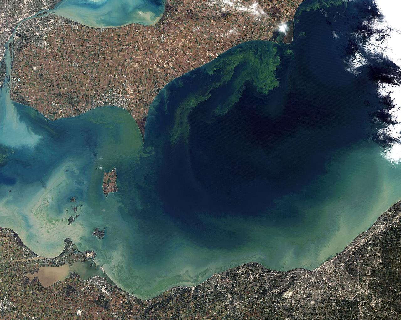 Algae bloom in Lake Erie as seen from space NASA Wikimedia Commons