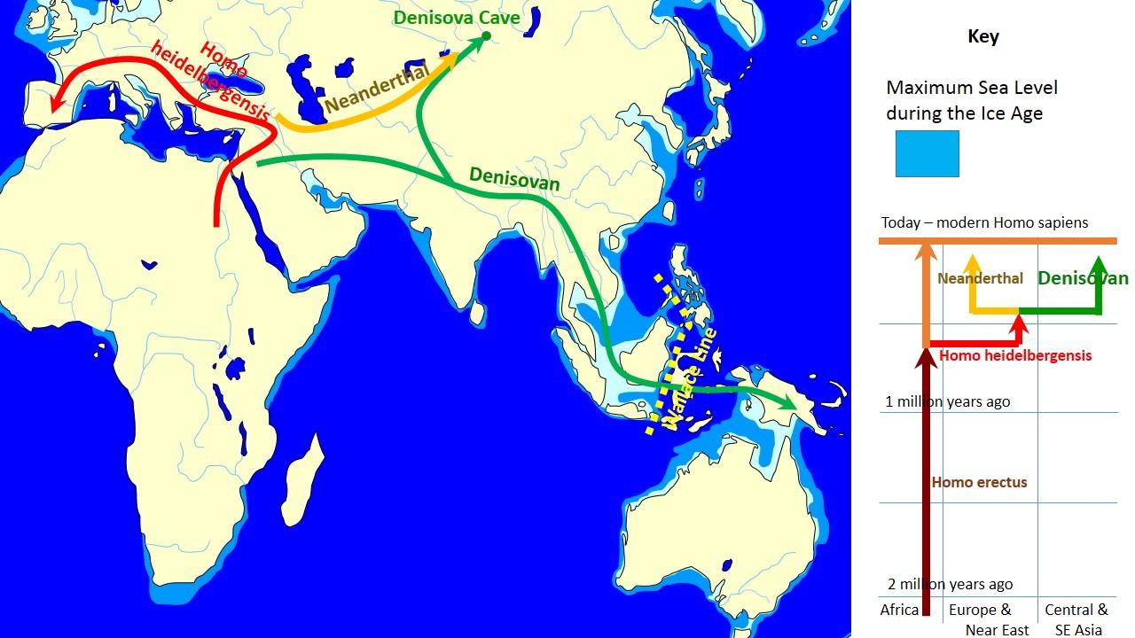 Map of Denisovan migration