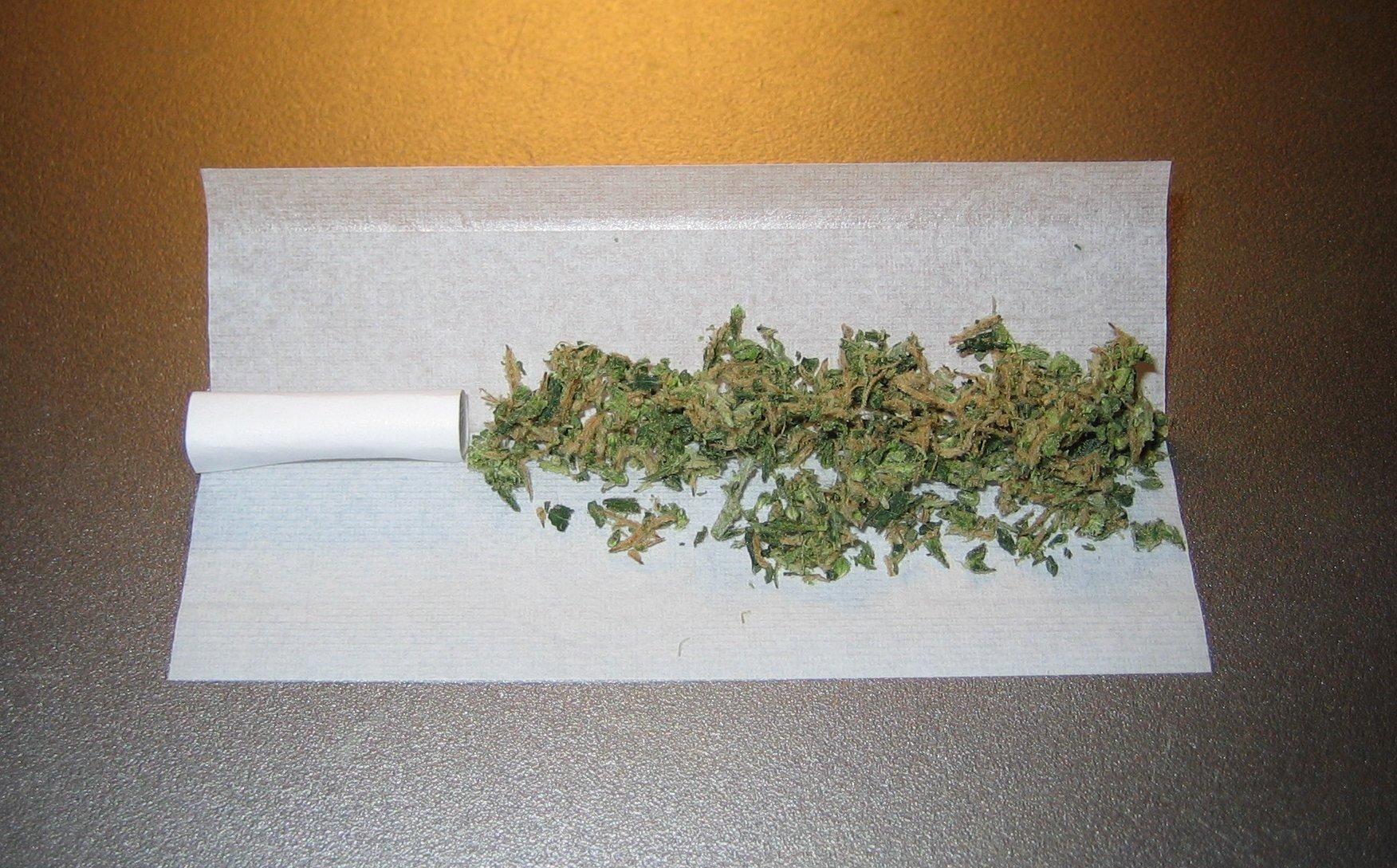 unrolled marijuana joint wikimedia