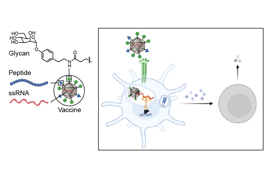 Anticancer cells MIT