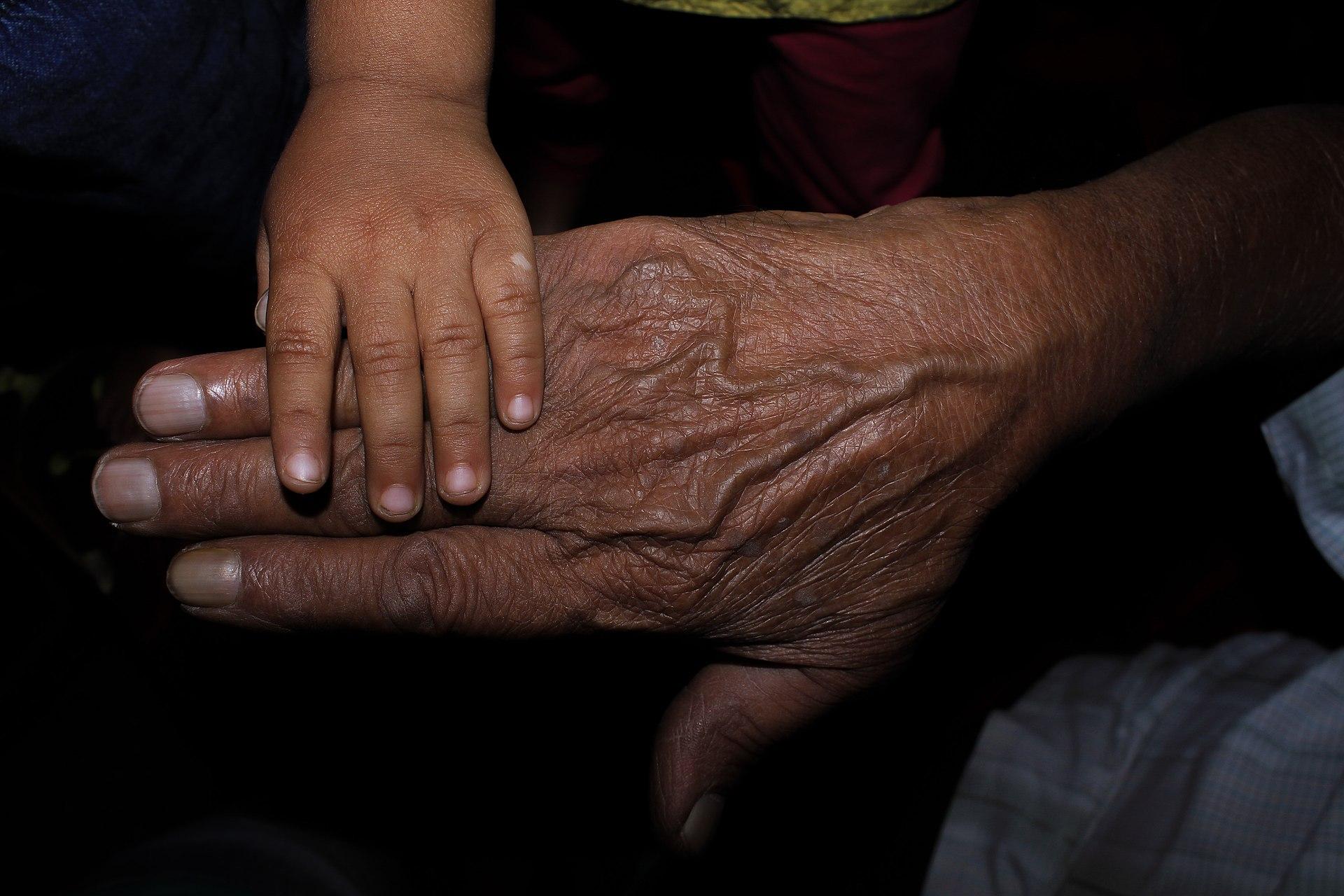 Big and Small Grandpa and grandchild