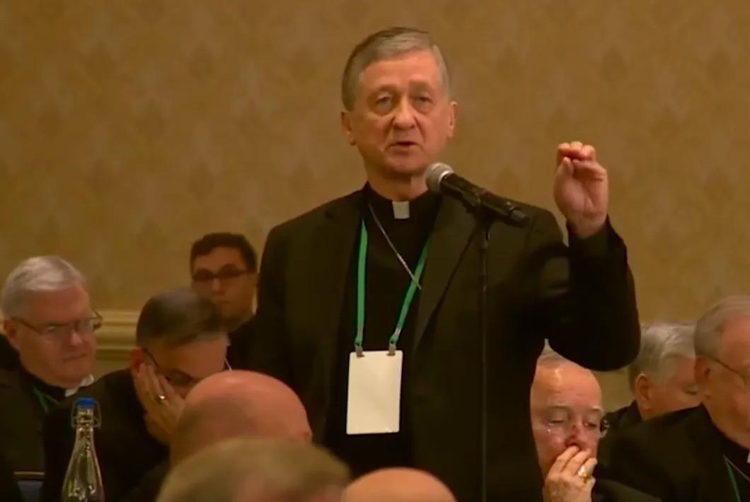 Blase Cupich usccb photo