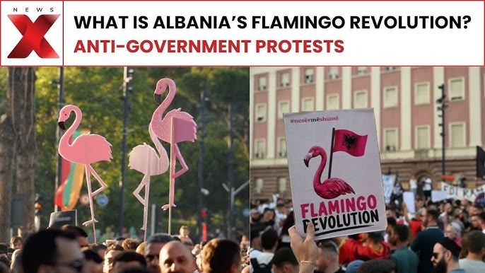Flamingo Revolution of Albania